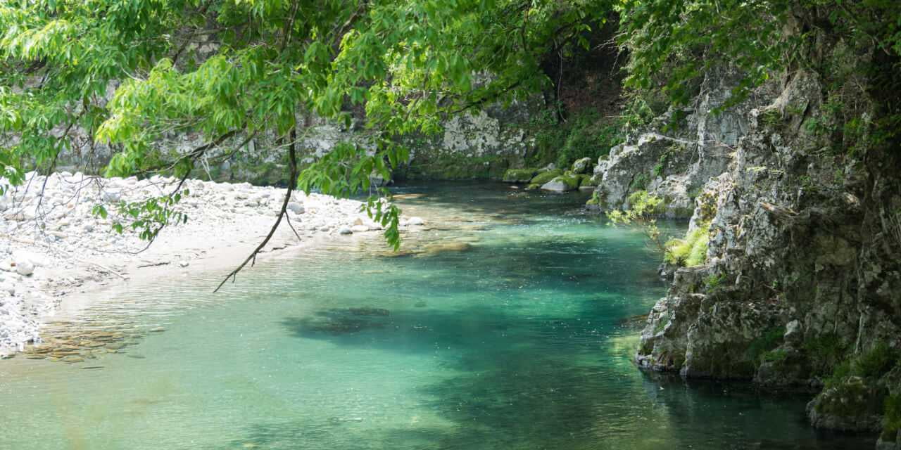 せせらぎ街道を流れる清流